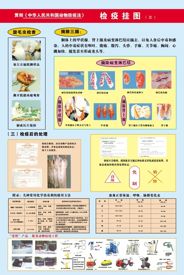 檢疫宣傳展板圖片