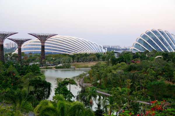 新加坡滨海湾花园滨海湾图片