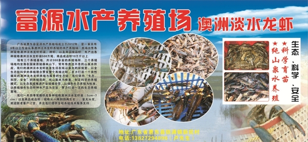 水产养殖场海报