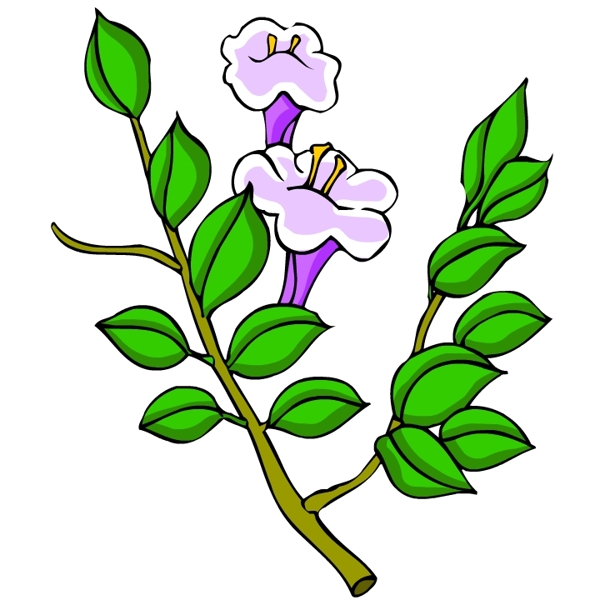 花卉古典插畫