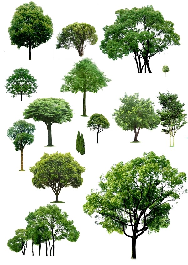 绿树合集图片