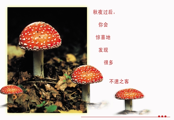 兒童相冊模板圖片