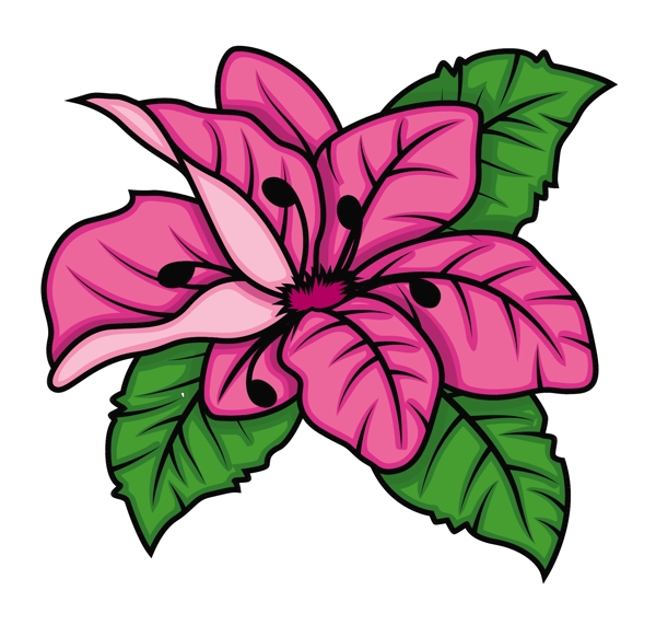 復(fù)古粉紅雛菊