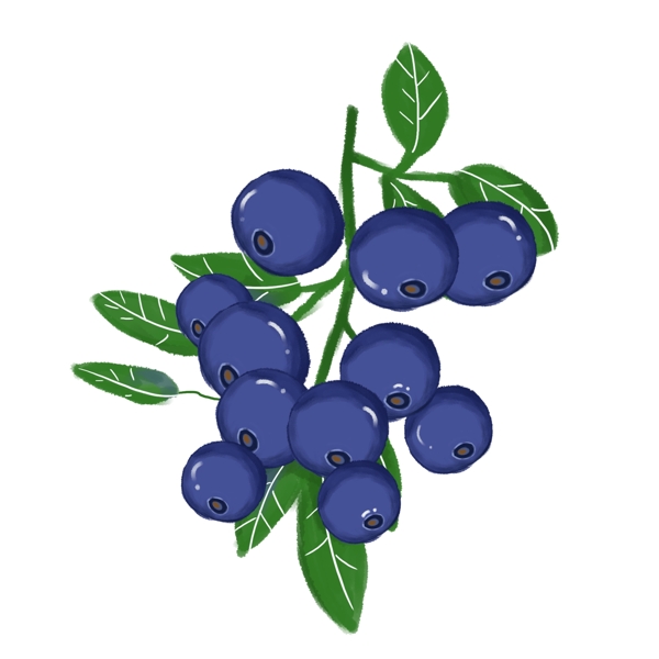 免扣水果蓝莓PNG元素
