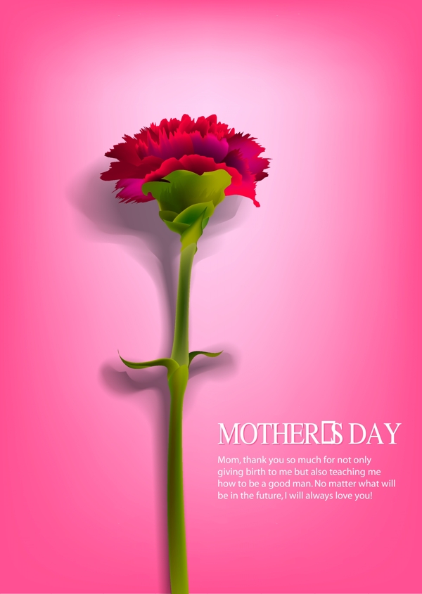 母亲节海报康乃馨花朵鲜花