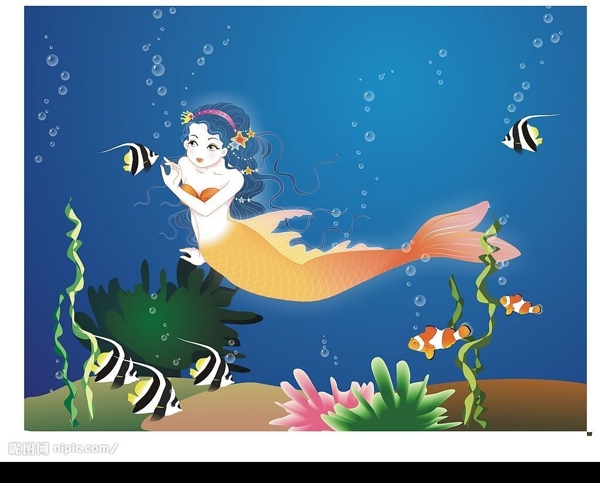 美人魚(yú)圖片
