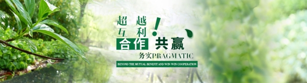 網(wǎng)站banner