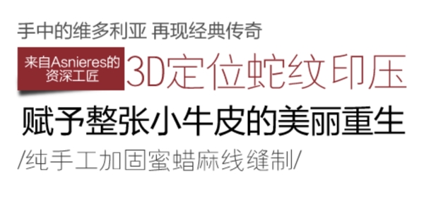 蛇纹印压装促销文字设计