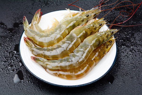 青岛新鲜大虾淘宝高清摄影素材