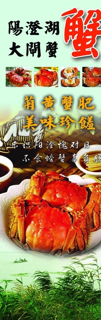 陽澄湖大閘蟹圖片