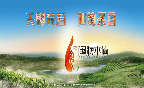 武夷丘苑閩派水仙