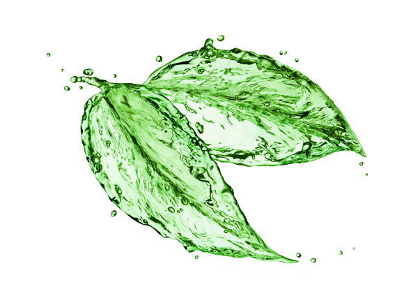 创意水滴绿叶图片