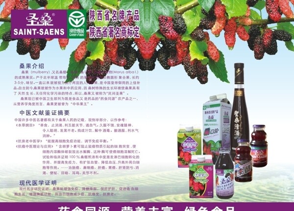 桑果廣告圖片