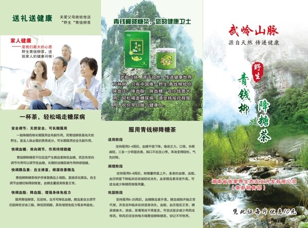 金錢柳將康茶