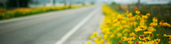 淘寶背景banner