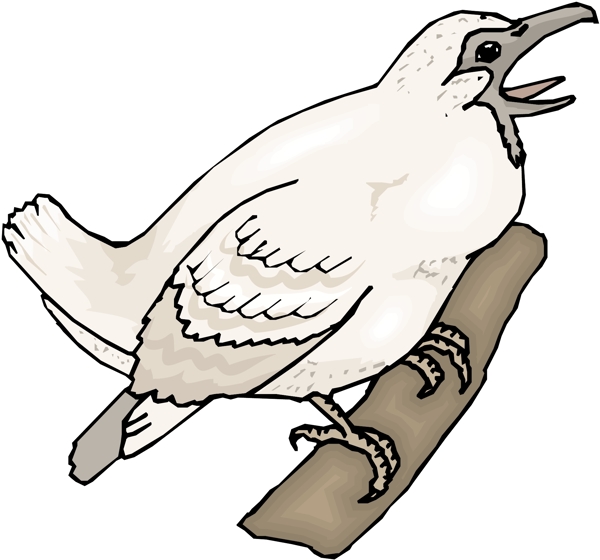 各種鳥類鳥動物矢量素材EPS格式0414