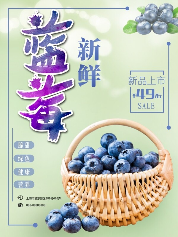 秋季水果新鲜蓝莓新品上市清新绿色促销海报