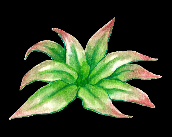 绿色手绘植物卡通透明水彩素材