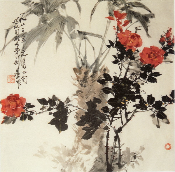 月季圖片
