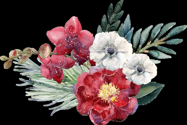 黃心花蕊透明素材