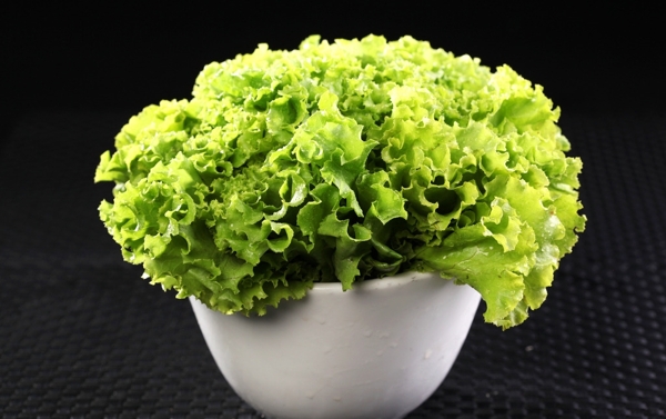 生菜圖片
