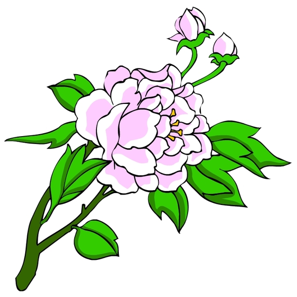 花卉古典插畫