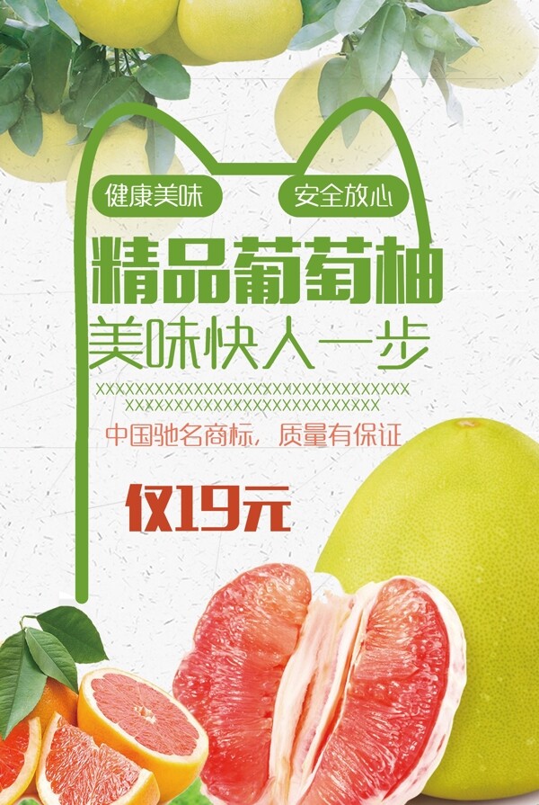 柚子葡萄柚水果海报