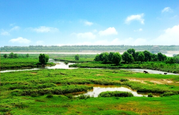 浐灞国家湿地公园图片