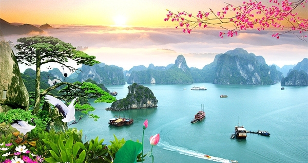 越南岛风景图片
