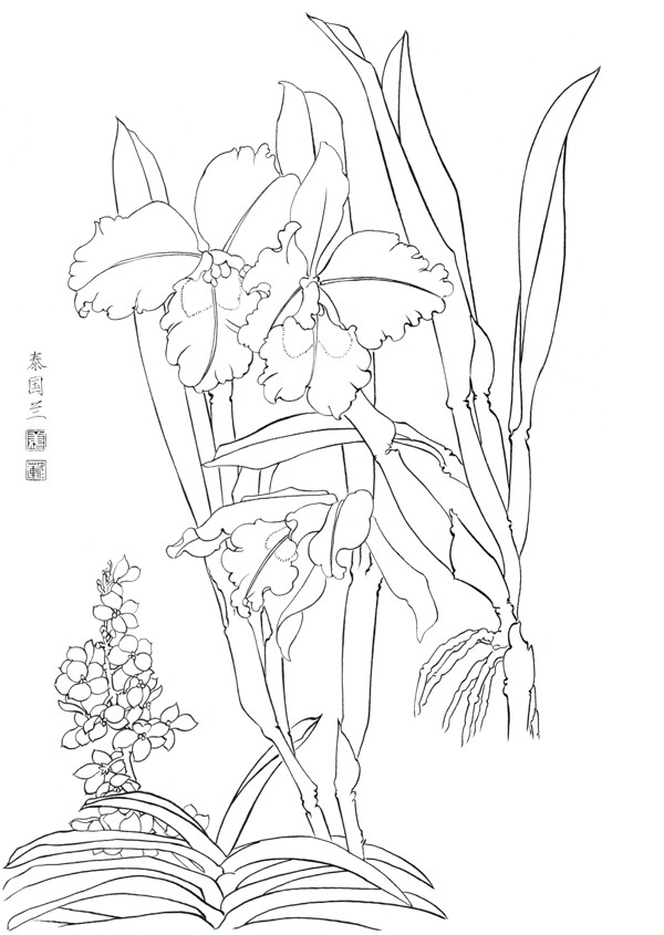 國(guó)畫白描百花線稿泰國(guó)