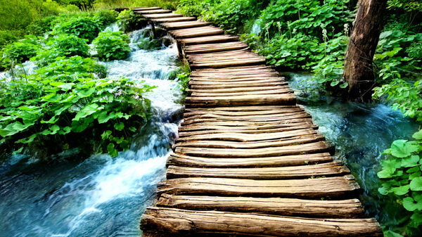 溪边木头小桥