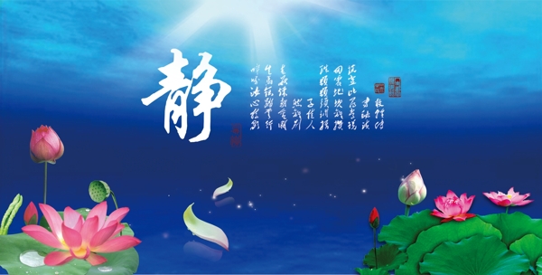 魚缸背景