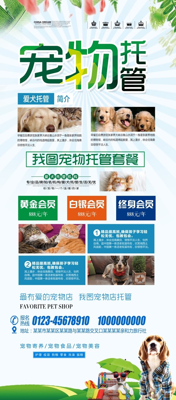 大氣寵物店宣傳展架設(shè)計(jì)圖片
