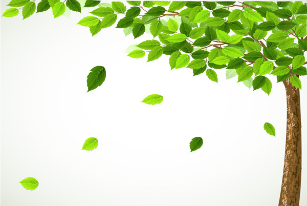樹(shù)圖片