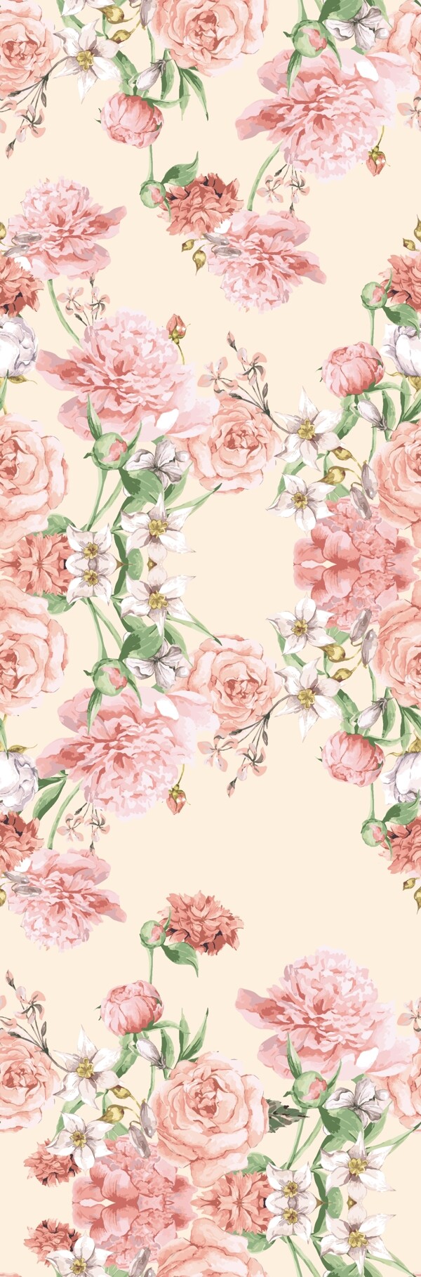 玫瑰花