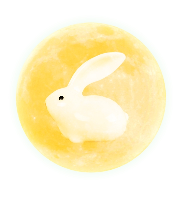 玉兔月亮