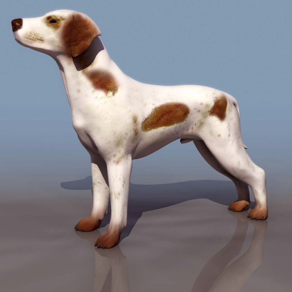 小狗動物3D模型素材