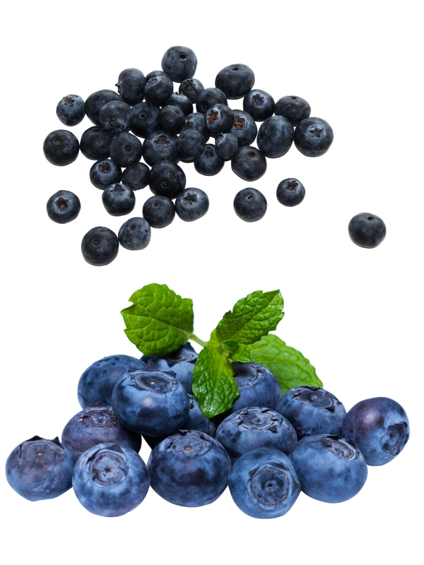 蓝莓水果素材图片