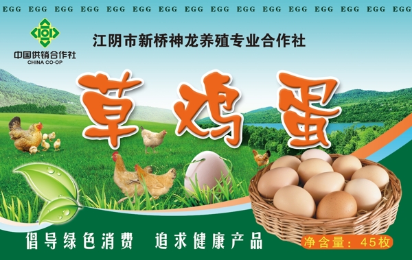 草雞蛋圖片