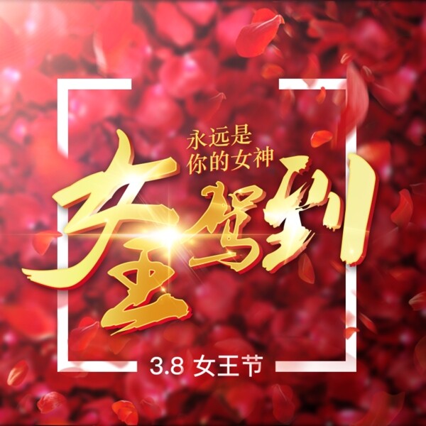 女王節(jié)