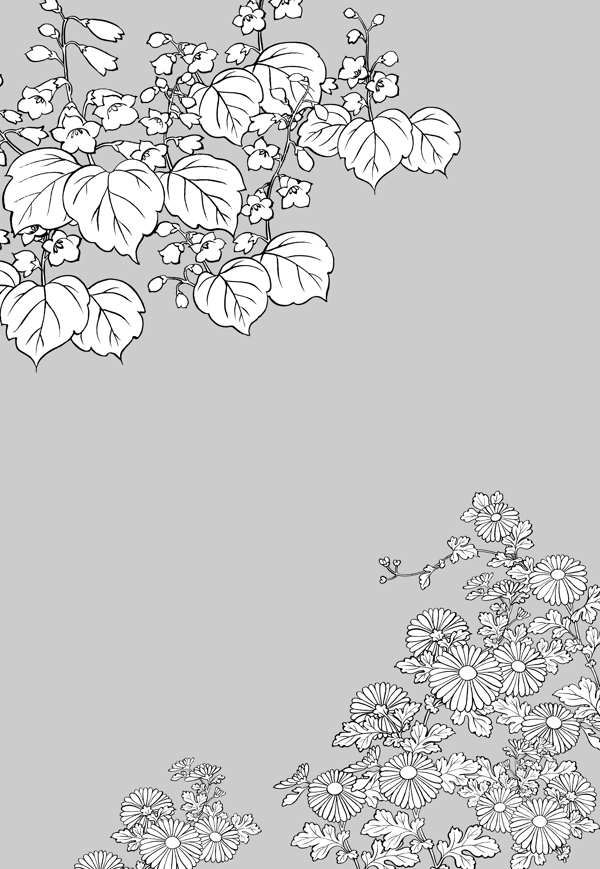 日本的植物花卉矢量素材6塘菊花图