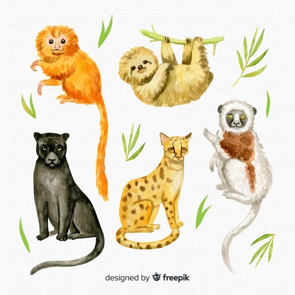 5款可爱水彩绘动物