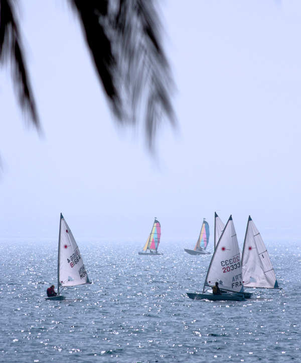 最好的休闲活动帆船比赛在海洋