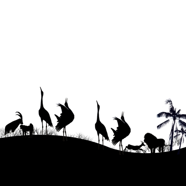 黑白動(dòng)物背景
