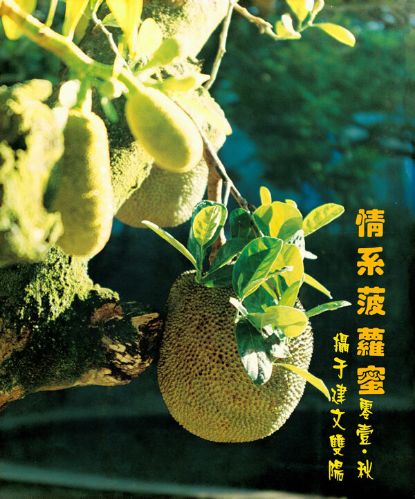 菠蘿蜜圖片