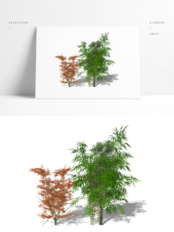 两棵竹叶树su模型