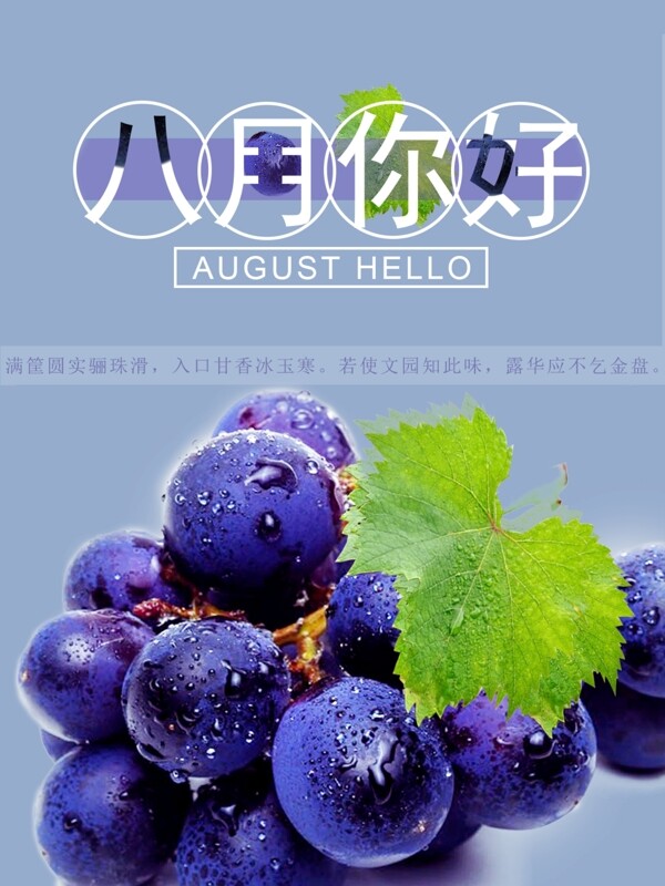 八月立秋葡萄唯美海報