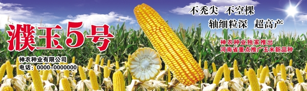 神農(nóng)