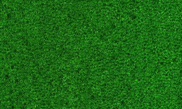 59470肌理油彩生物理