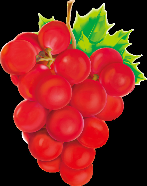 红提葡萄手绘精美水果手绘